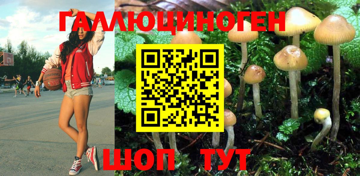 Сибай  закладка  Вход с VPN  Галлюциногенные грибы Magic Shrooms  Галлюциногенные грибы Psilocybine cubensis 