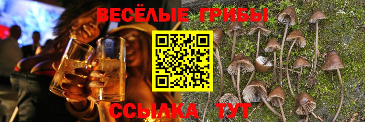 Псилоцибиновые грибы Magic Shrooms Сибай